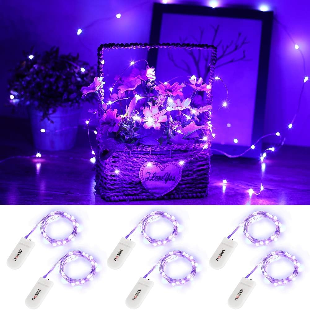 6 Pack Micro LED Fairy Lights, 20 LED on 3.3 ft Copper Wire