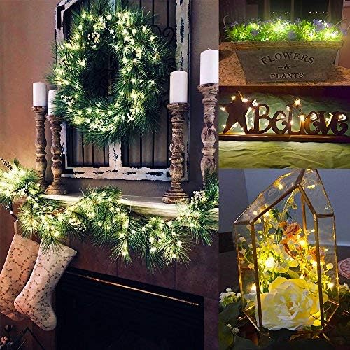 6 Pack Micro LED Fairy Lights, 20 LED on 3.3 ft Copper Wire