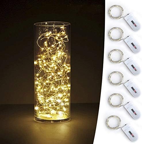 6 Pack Micro LED Fairy Lights, 20 LED on 3.3 ft Copper Wire